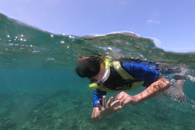 Kauai's Ultimate Guided Shore Snorkel (NO BOAT): North Anini - Exploring Kauai’s Shore Snorkel at North Anini: A Genuine Underwater Adventure