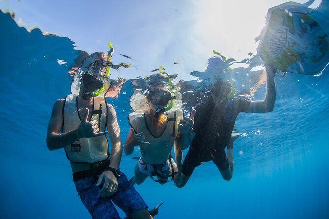 Kauai's Ultimate Guided Shore Snorkel (NO BOAT): North Anini - Key Points