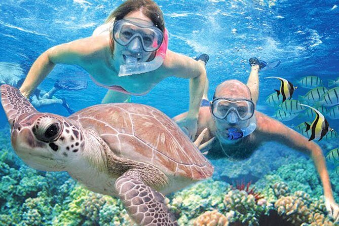 Kauais Ultimate Guided Shore Snorkel: South Poipu - Key Points
