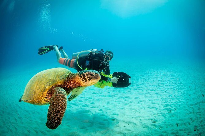 Kauai's Ultimate Scooter Adventure 2 Tank Dive (Advance Certified Divers Only) - Final Thoughts