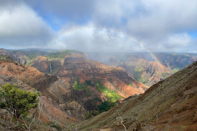 Kauai's Waimea Canyon and South Side Private Guided Tour - Starting at Waimea Canyon State Park