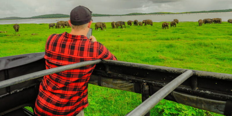 Kaudulla National Park Half Day Sri Lanka Jeep Safari - Key Points
