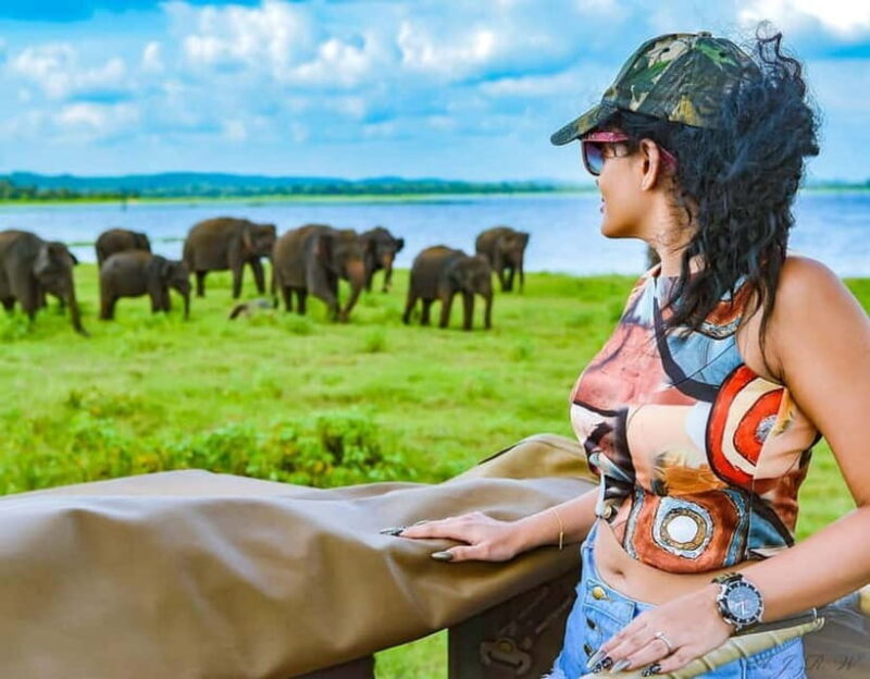 Kaudulla National Park Jeep Safari - The Experience in Detail