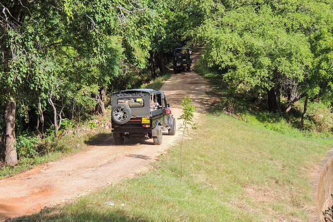 Kaudulla National Park Private Safari - Logistics and Practicalities