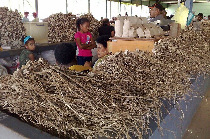 Kava Factory Tour and Flavored Kava Tasting Experience - Introduction: Exploring Fiji’s Kava Culture Through a Hands-On Tour