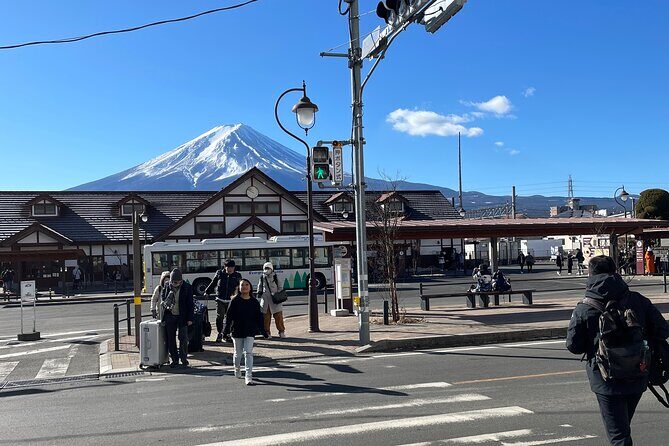 Kawaguchiko (Mt Fuji) Tour with Private Car - The Value of a Private Tour