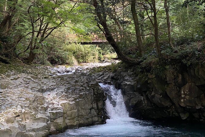 Kawazu Seven Falls Guided Tour - An In-Depth Look at the Kawazu Seven Waterfalls Guided Tour