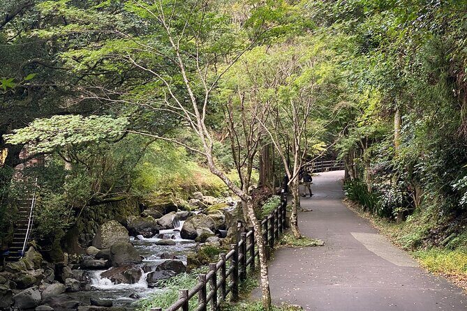 Kawazu Seven Falls Guided Tour - Breaking Down the Experience
