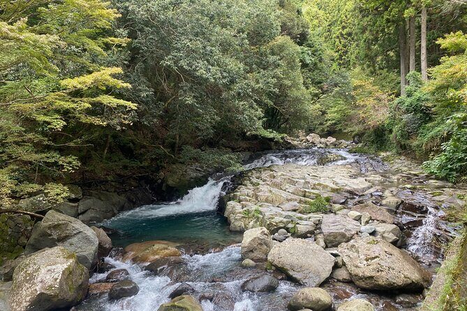 Kawazu Seven Falls Guided Tour - Final Thoughts: Who Will Appreciate This Tour?