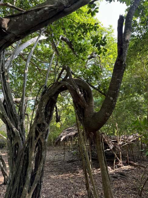 Kaya Kinondo Sacred Forest Guided Tour - FAQ
