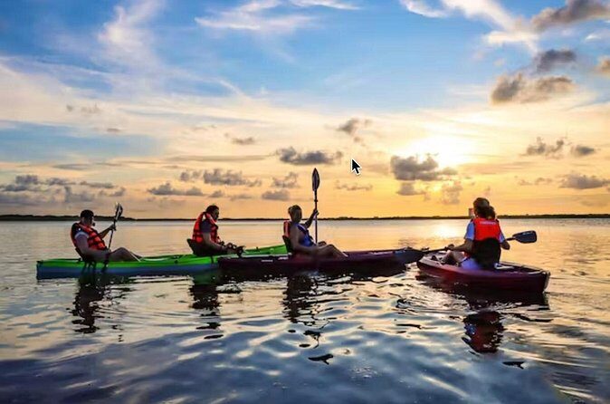 Kayak Activity in Nichupte Lagoon opt. Roundtrip transportation - The Sum Up