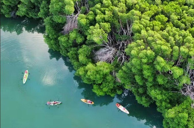 Kayak Activity in Nichupte Lagoon opt. Roundtrip transportation - FAQ