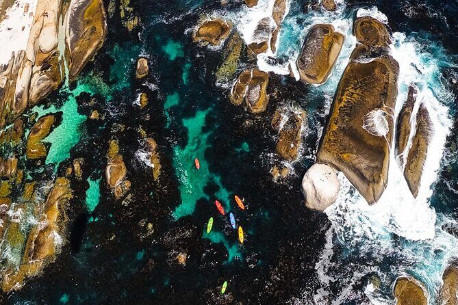Kayak Adventure at Clifton Beach - In The Sum Up