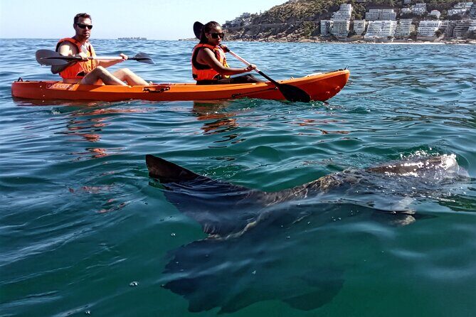 Kayak Adventure at Clifton Beach - FAQ