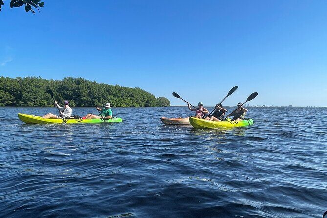 Kayak Adventure at Shell Key Preserve in Tierra Verde - Key Points