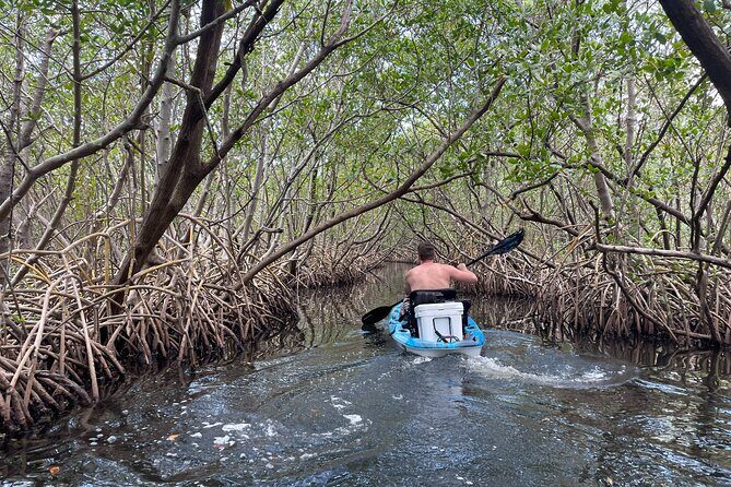 Kayak Adventure at Shell Key Preserve in Tierra Verde - Why This Tour Offers Great Value