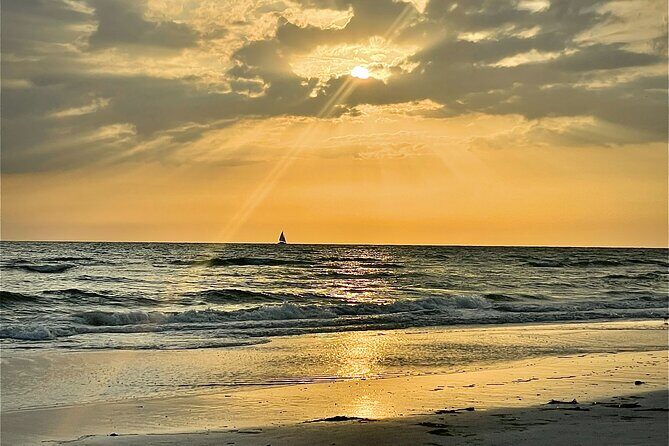 Kayak Adventure at Shell Key Preserve in Tierra Verde - What Travelers Can Expect