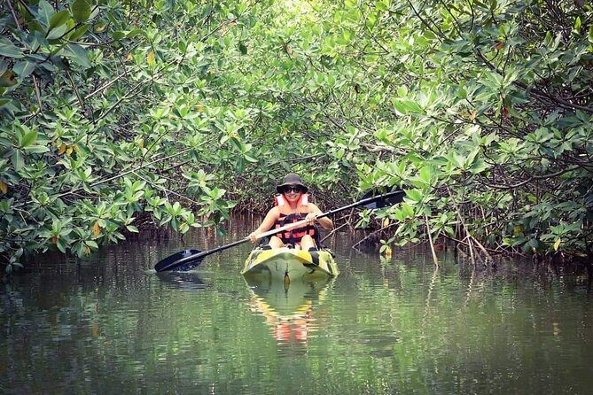 Kayak Adventure in Cancun - FAQs