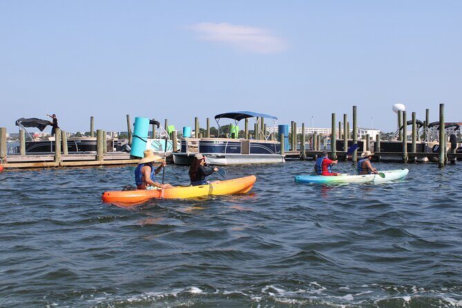 Kayak Adventure in Destin and Fort Walton Beach - An In-Depth Look at the Kayak Adventure