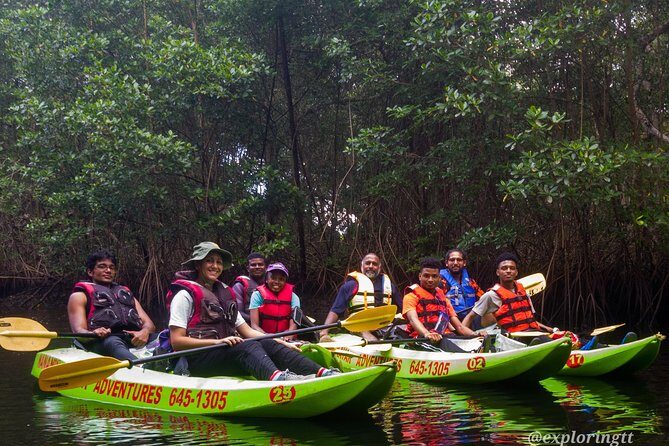 Kayak Adventure in the Second Largest Swamp of Trinidad and Tobago - What to Expect on the Kayak Adventure