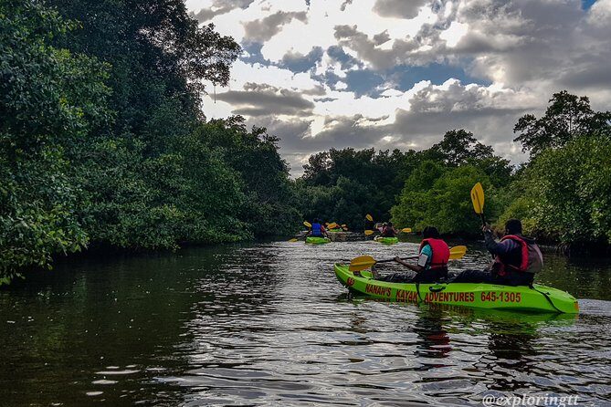 Kayak Adventure in the Second Largest Swamp of Trinidad and Tobago - Why This Tour Is Worth Considering