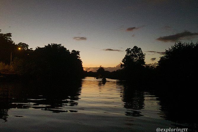 Kayak Adventure in the Second Largest Swamp of Trinidad and Tobago - The Sum Up