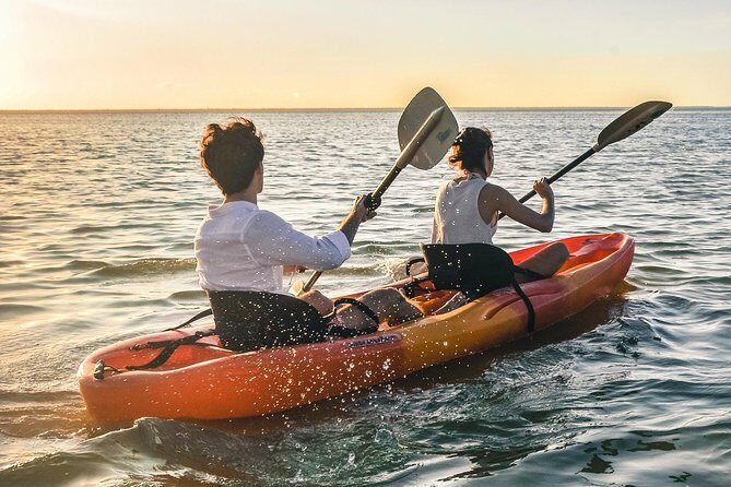 Kayak adventure through Laguna Nichupté in Cancun - The Price and Value Proposition