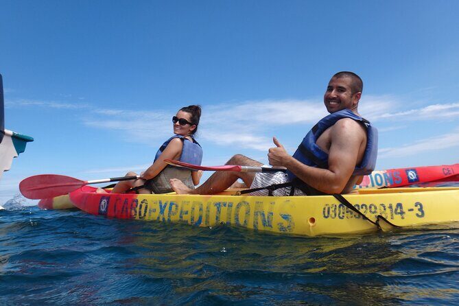 Kayak and Snorkel Discovery Tour in Los Cabos - Who This Tour Is Best For