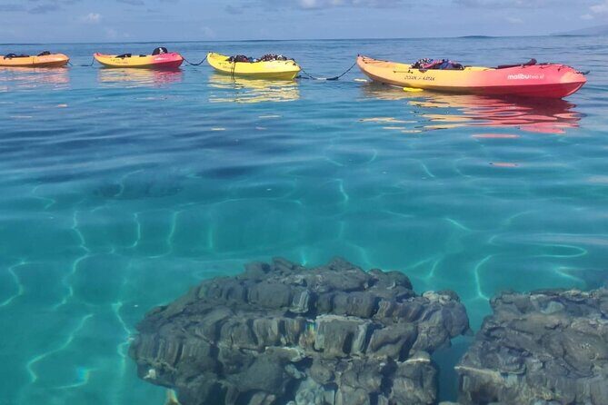 Kayak and Snorkel: Maui West Shore - Analyzing the Value
