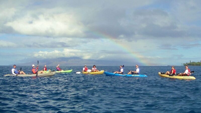 Kayak and Snorkel West Maui at Olowalu - An Authentic Maui Adventure: What to Expect