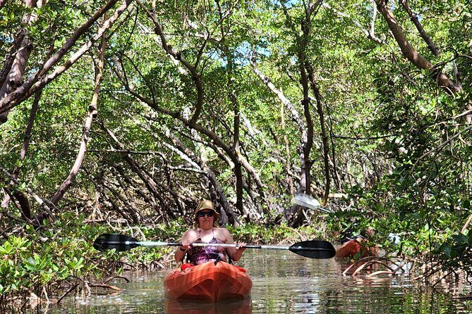 Kayak and SUP Rentals - Big Hickory Island - Fort Myers Beach, FL - What Makes It Stand Out