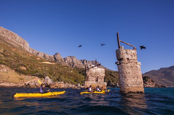 Kayak Chapman's Peak and Karbonkelberg in Hout Bay - A Close Look at the Experience