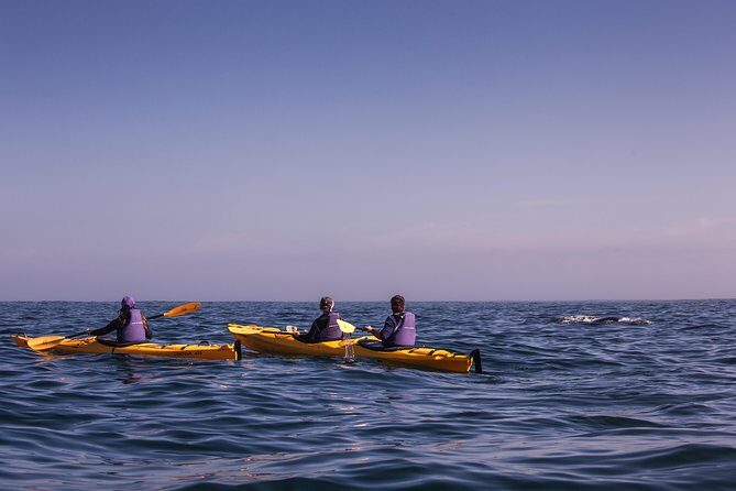 Kayak Chapman's Peak and Karbonkelberg in Hout Bay - The Sum Up