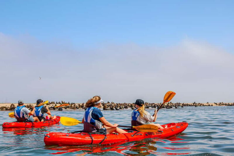 Kayak Dune Day - Guides and Authenticity