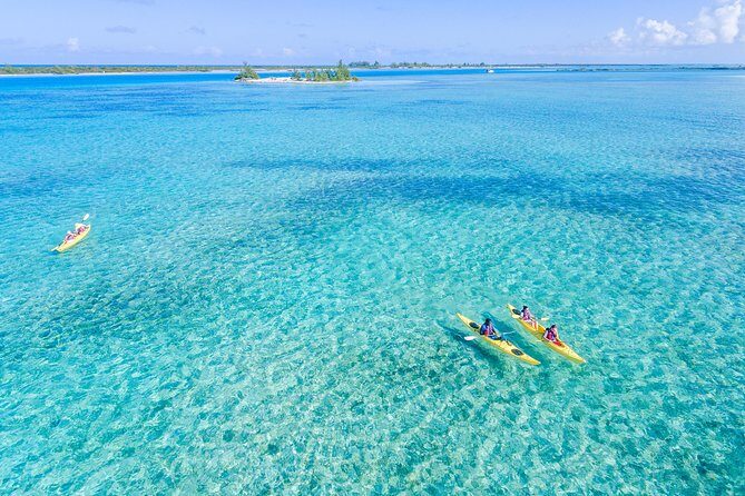 Kayak Eco Tour - Key Points