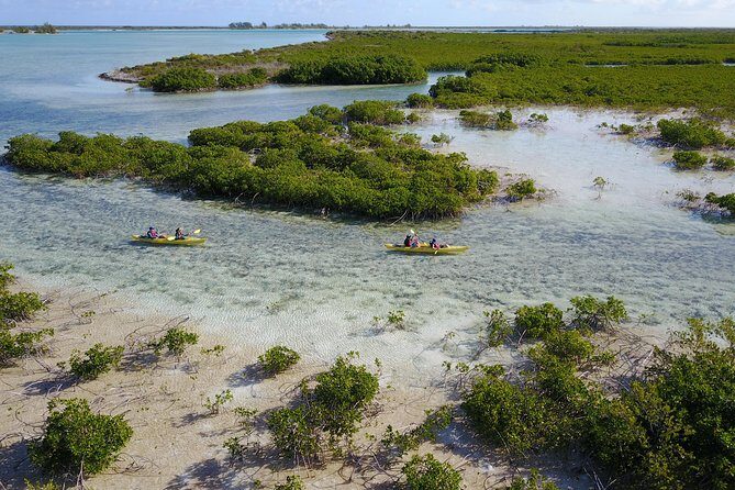 Kayak Eco Tour - Final Thoughts: Who Should Sign Up?