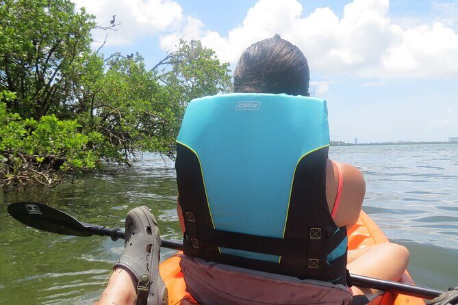 Kayak Eco tourism in Miami Bay - Additional Considerations