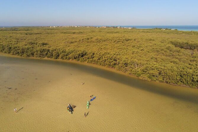 Kayak Experience in the Mangroves of Holbox Island - What the Tour Includes and How It Runs
