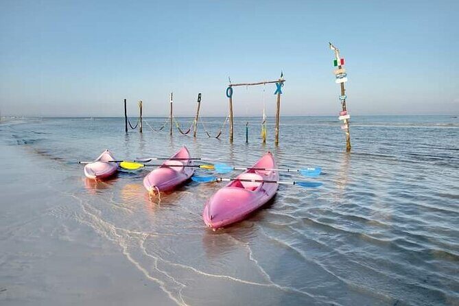 Kayak Experience in the Mangroves of Holbox Island - Realistic Expectations and Possible Drawbacks
