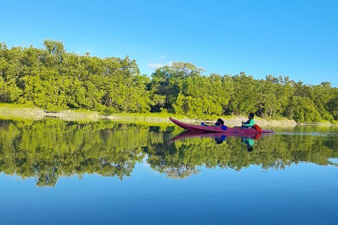 Kayak Experience in the Mangroves of Holbox Island - Reviews: What Travelers Say