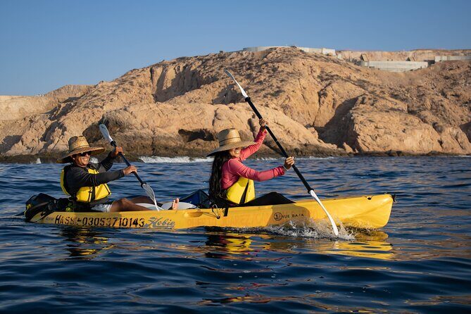 Kayak from Viudas Beach to Chileno Bay & Snorkel + Beach Time - The Sum Up: The Right Choice for Adventurous and Curious Travelers