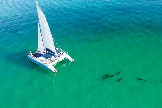 Kayak + Guided Snorkel & Morning Sail hosted by Honest Eco - Key Points