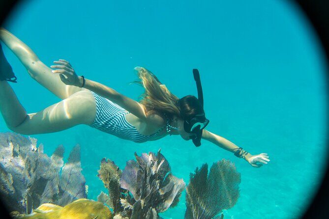 Kayak + Guided Snorkel & Morning Sail hosted by Honest Eco - The Overview: A Balanced Mix of Water Activities and Nature Learning