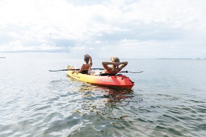 Kayak + Guided Snorkel & Morning Sail hosted by Honest Eco - Highlights from Guest Reviews