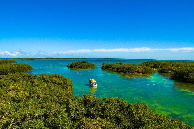 Kayak + Guided Snorkel & Morning Sail hosted by Honest Eco - Practical Details: Pricing, Duration, and What’s Included