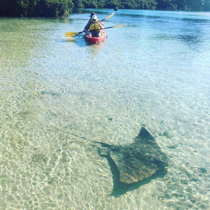 Kayak Hire Batemans Bay - Exploring Kayak Hire in Batemans Bay: A Practical Guide