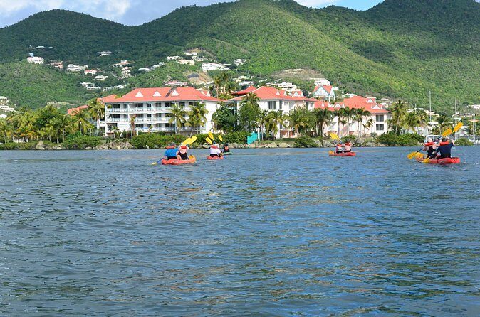 Kayak Lagoon Tour - Final Thoughts: Is the Kayak Lagoon Tour Worth It?