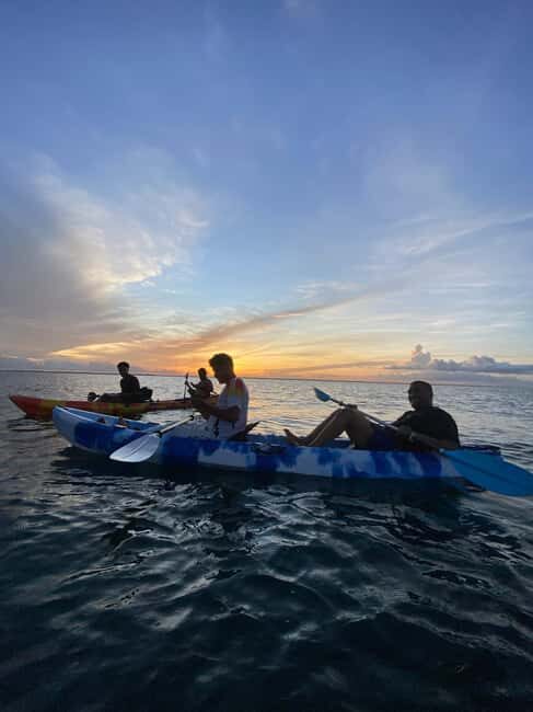 Kayak Mangrove Tour - Key Points