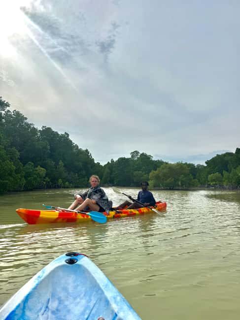 Kayak Mangrove Tour - Why the Kayak Mangrove Tour Excels