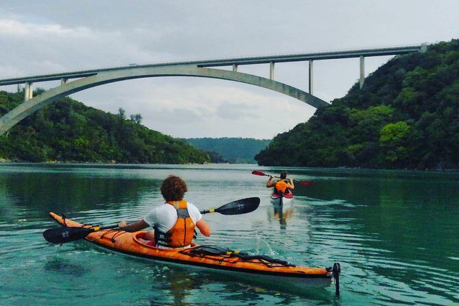 Kayak Mangroves or Coral Reef: private tour in north Okinawa - Key Points